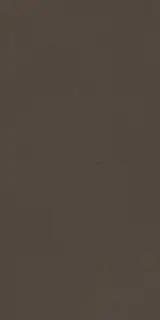 Cava Brown 15x30