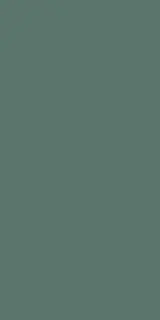 Leaf Matt 60x120