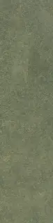 Levels Forest Glossy 6x25