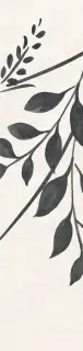 Levels Black Decor 1 Matt 6x25