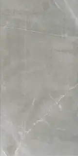 Timeless Amani Grey Glossy 60x120