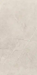 KENZO BEIGE MATE RECTIFICADO 60x120