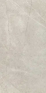 KENZO GRIS MATE RECTIFICADO 60x120