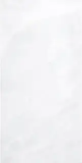 ONIX WHITE 59X119