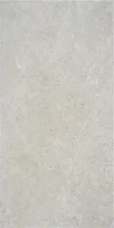 OREGON GREY MT 60X120