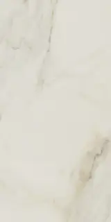 SUPREME MARBLE POL RECT 60X120