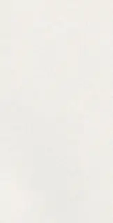 CAPRICE WHITE RECT 60X120