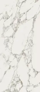 CALACATA VAGLIE SEDA (сатин)120X278