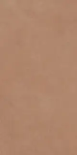 ARGILLAE GOBI RECT 60X120