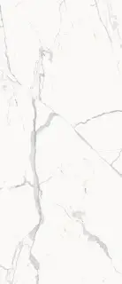 STE.STATUARIO WHITE 120X278