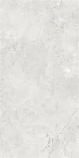 GOBI PEARL MT 60X120 RECT (S-TECH)