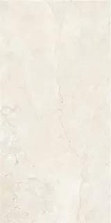 GOBI IVORY MT 60X120 RECT (S-TECH)