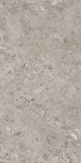 BIERZO GRIS SEDA  60X120