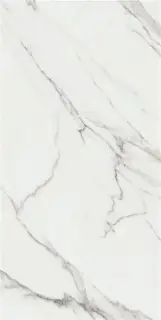 ASTON WHITE PUL 60X120 RECT.