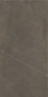 NORTHON TAUPE 60X120 PULIDO