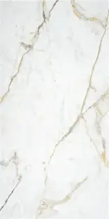 CARBIS GOLD MATT 60X120 RECT.