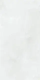 BAIKAL WHITE PULIDO 60X120 RECT.