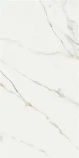 ASTON GOLD 60X120 PUL RECT.