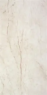 RAIN FOREST WHITE ( PULIDO) 59X119 RECT.