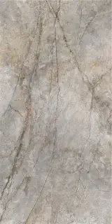 RAIN FOREST NATURAL PULIDO 59X119 RECT.