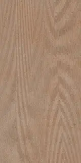 TASMANIA TIERRA 60X120 REC.