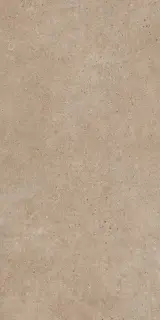 PANGEA TIERRA 60X120 REC.