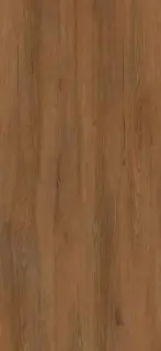 JUNGLA TECA 120X260х3,5