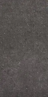 MITICA ANTRACITA 60X120 REC.