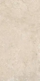 ELBA TAUPE 60X120 REC.