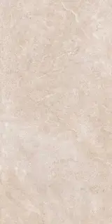 ARLES ARENA 60X120 REC.