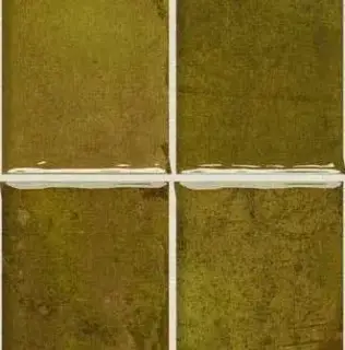 Керамическая плитка WB NAIROBI NOA MOSS 10X10