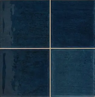 Керамическая плитка WB NAIROBI NOA BLUE 10X10