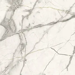 Керамогранит Pav. Invisible nat white 60x60