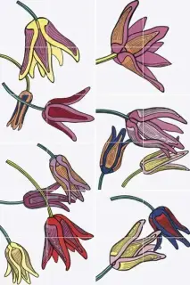 Bardelli Tuli-Pop Декор 1 80x120 глазурованный глянцевый