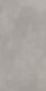 Coliseum San Siro Керамогранит Grey 60x120 натуральный