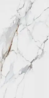 Dogma Project Antibacterial Керамогранит Calacatta Macchia Vecchia Natural 60x120 натуральный