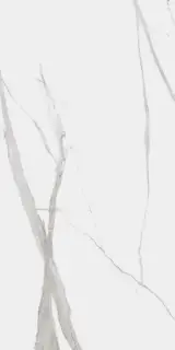 Dogma Project Antibacterial Керамогранит Calacatta Levigato 60x120 полированный