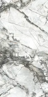 Dogma Project Antibacterial Керамогранит Invisible Solid Levigato 60x120 полированный