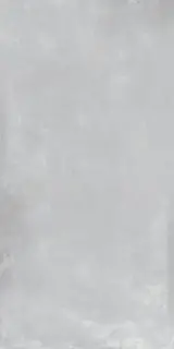 Dogma Project Antibacterial Керамогранит Garage Aluminium Matt 60x120 натуральный