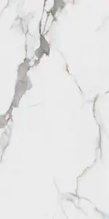 Dogma Project Antibacterial Керамогранит Calacatta Macchia Vecchia Levigato 60x120 полированный