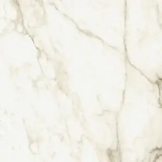 Coliseum Michelangelo Керамогранит Warm 60x60 натуральный