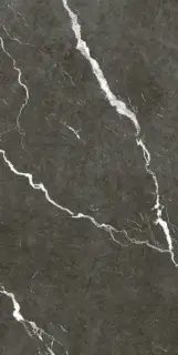 Coliseum Michelangelo Керамогранит Dark 60x120 натуральный