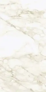 Coliseum Michelangelo Керамогранит Warm 60x120 натуральный