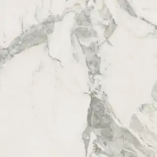 Coliseum Michelangelo Керамогранит Cold 60x60 натуральный