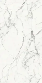 FLORIM-Luxury (Rex) Les Origines de Rex Керамогранит Blanc 60x120 полированный