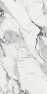 FLORIM-Luxury (Rex) Les Origines de Rex Керамогранит Argent 60x120 полированный