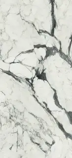 FLORIM-Luxury (Rex) Les Bijoux de Rex Magnum Керамогранит Calacatta Altissimo Blanc 120x280 полированный