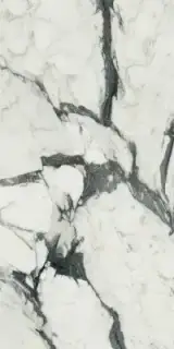 FLORIM-Luxury (Rex) Les Bijoux de Rex Керамогранит Calacatta Altissimo Blanc 60x120 полированный