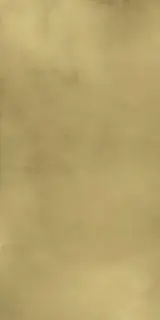 Italon Керамический гранит Continuum Керамогранит Brass Gold 80x160 лаппатированный