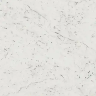 Italon Керамический гранит Charme Extra Floor Project Керамогранит Carrara 59x59 люкс
